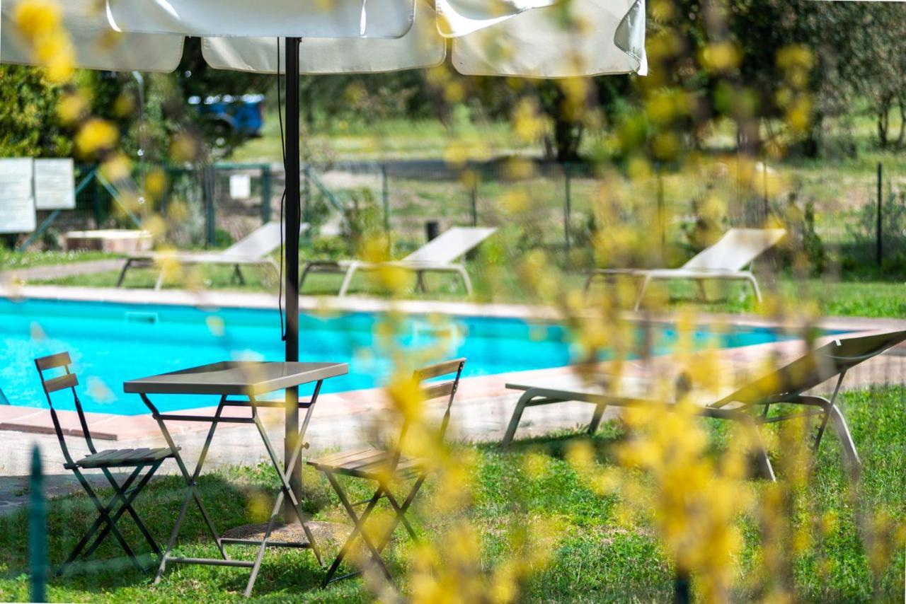 Tenuta Il Cicalino 马萨马里蒂马 外观 照片