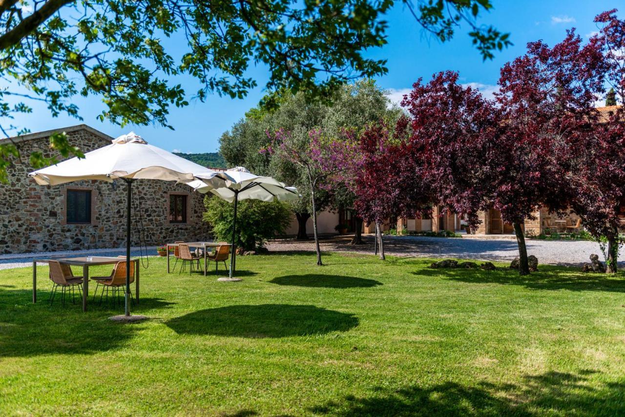 Tenuta Il Cicalino 马萨马里蒂马 外观 照片